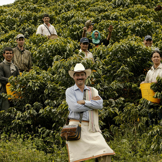Café en Grano Antioquia línea Orígenes 454 g